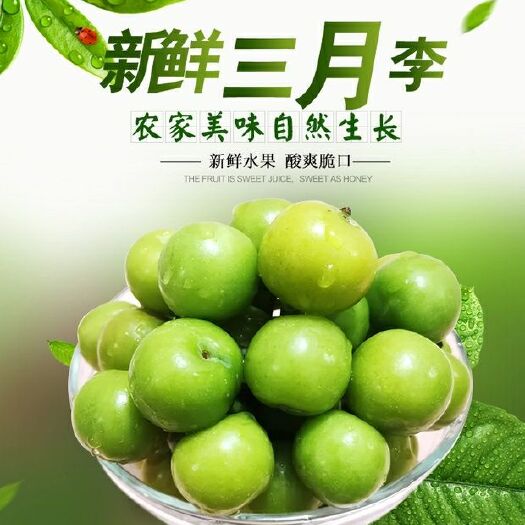 那坡县半边红李子 滞销三月李