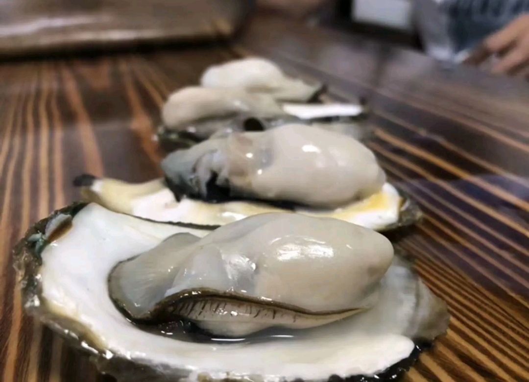 三倍体生蚝  生蚝批发 全壳鲜活生蚝半壳生蚝烧烤新鲜牡蛎网红高压锅生蚝