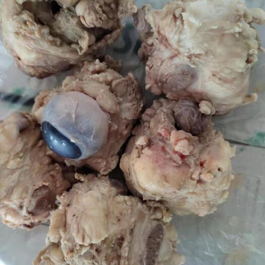 广州牛眼睛 熟牛眼     生熟都有   可按斤按个
