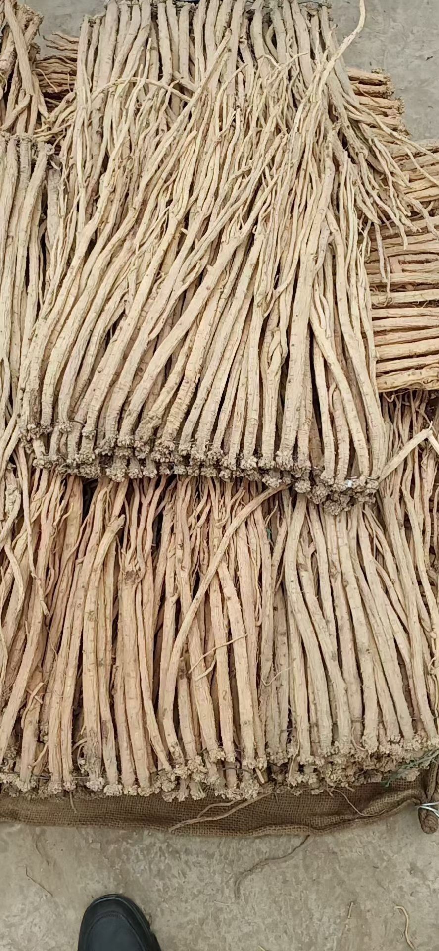 岷当归  (无硫)黄芪瓜子切片 0·8~1·0 cm
(免费寄样)