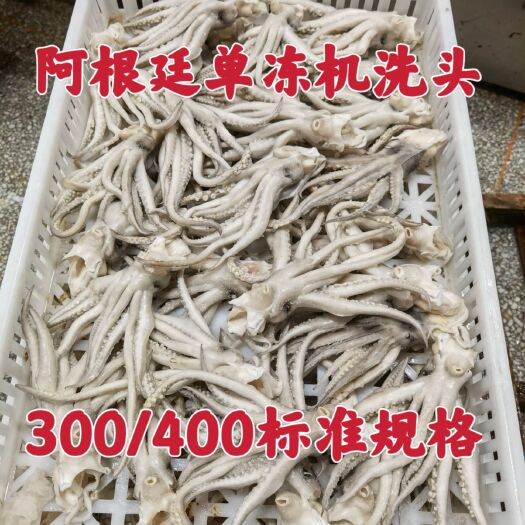 荣成市阿根廷鱿鱼头鱿鱼须机洗头干冻无冰品质保证长年加工 欢迎下单