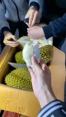 广州金枕榴莲