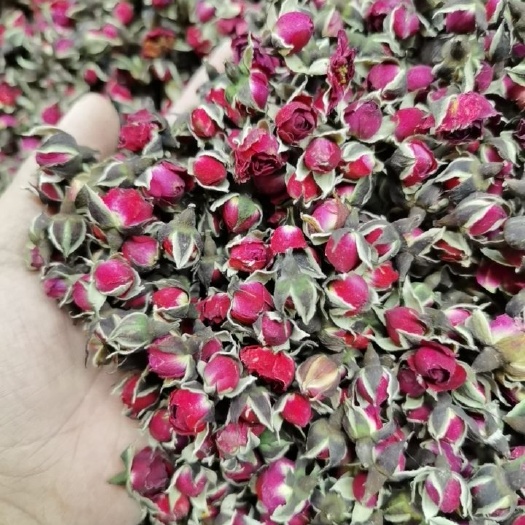 金边玫瑰 玫瑰花 一手货源大货批发