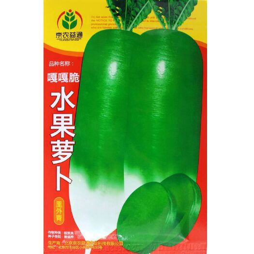 青县生吃水果萝卜种子口感脆甜水多农家蔬菜种子