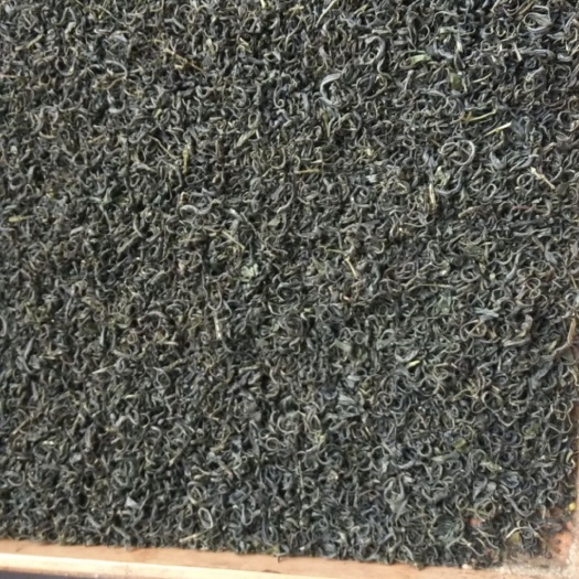 宜昌 优质绿茶！大量上市！老百姓的口粮茶！好喝不贵！欢迎选购