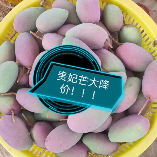 南宁 贵妃芒降价了请有心下单的与我联系