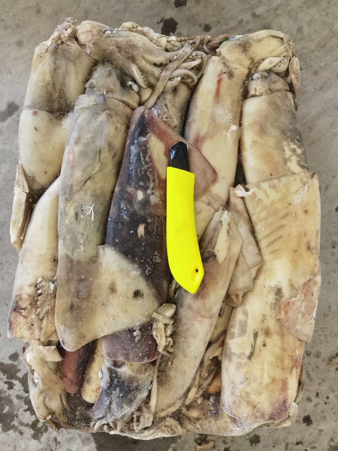 枪乌贼  鱿鱼 船冻 秘鲁赤道鱿鱼小条500-1000g 1