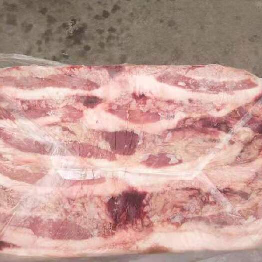 猪头  母猪槽头肉
