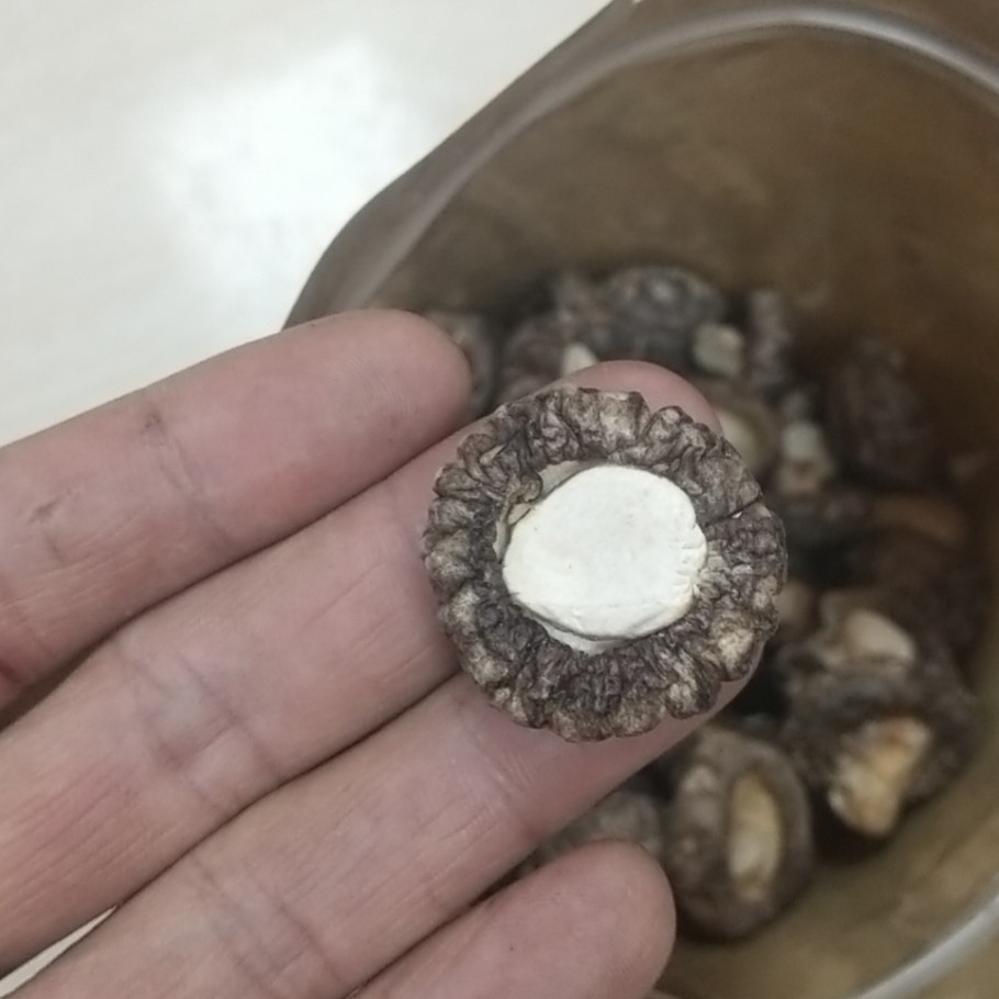 小香菇  火锅店专用菇金钱菇  优质珍珠菇个小味美无杂质鲜嫩