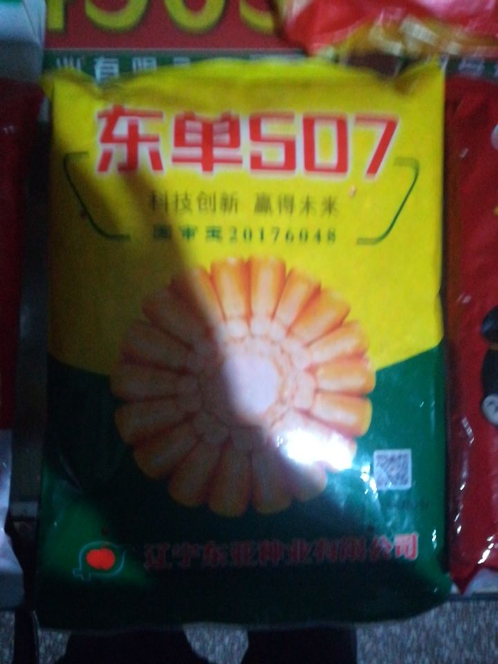 东单507双国审玉米种子 双交种 ≥90% 