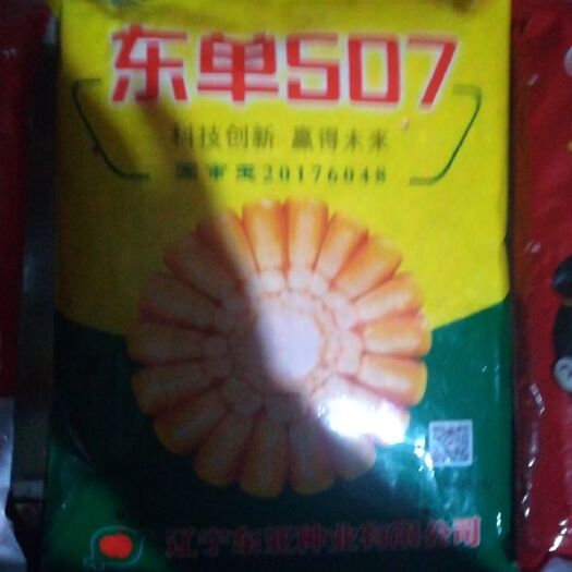 东单507双国审玉米种子 双交种 ≥90% 