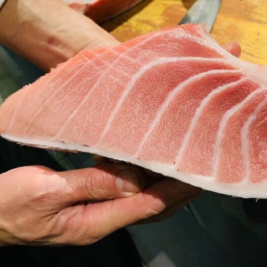 长沙蓝鳍金枪鱼