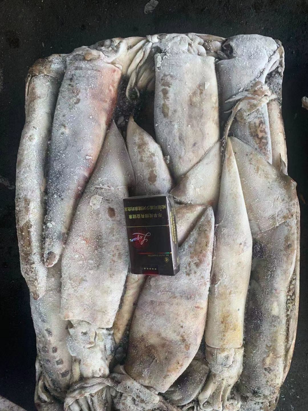 枪乌贼  鱿鱼 船冻 秘鲁赤道鱿鱼小条500-1000g 1