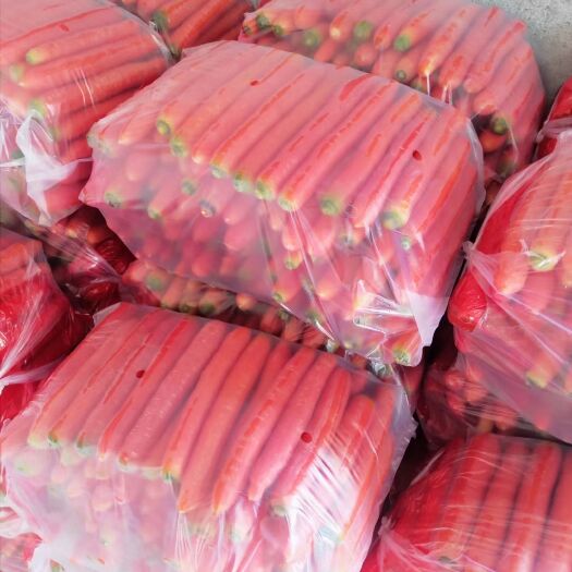 【热销】陕西万亩秤杆红萝卜大量供应，价格便宜，品质保证！