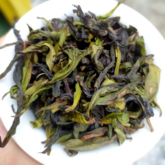 惠来县单丛茶  八仙茶潮汕土山茶惠来土山茶诏安八仙茶叶高山茶叶1斤