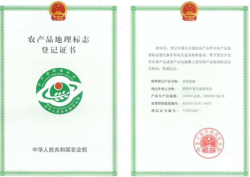 白条鸭  洪湖老飞天鸭  地标产品  盒马合作商