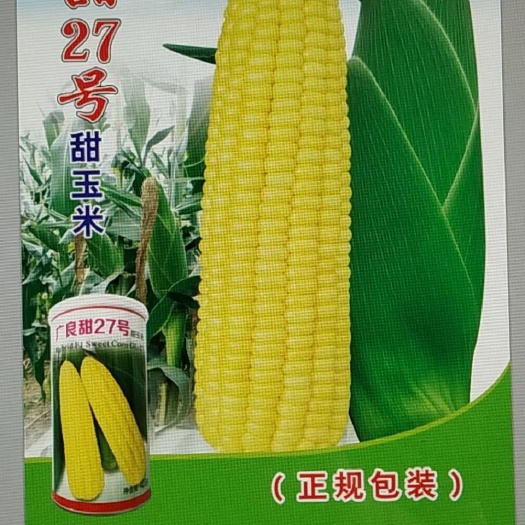 天津广良甜27 泰系甜玉米种子