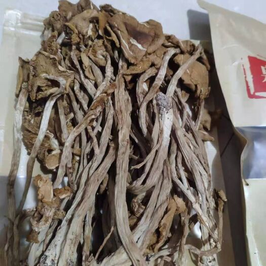 台江县茶树菇