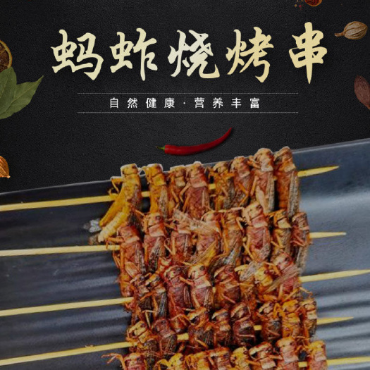 蚌埠东亚飞蝗  蚂蚱串 蝗虫 蚱蜢 网红小零食