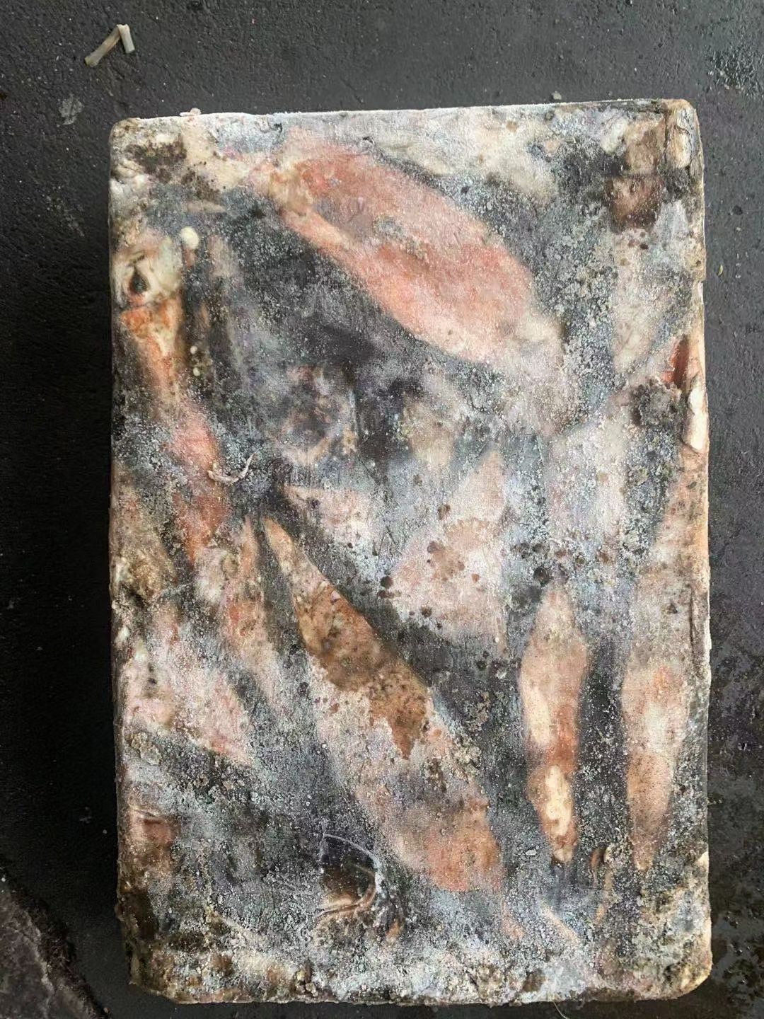 枪乌贼  鱿鱼 船冻 秘鲁赤道鱿鱼小条500-1000g 1