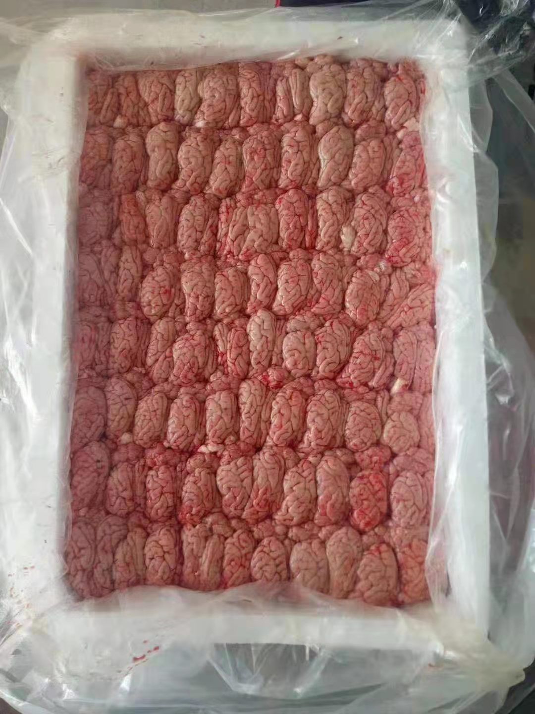 母猪脑花