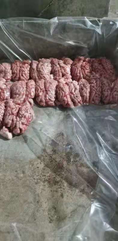 母猪脑花