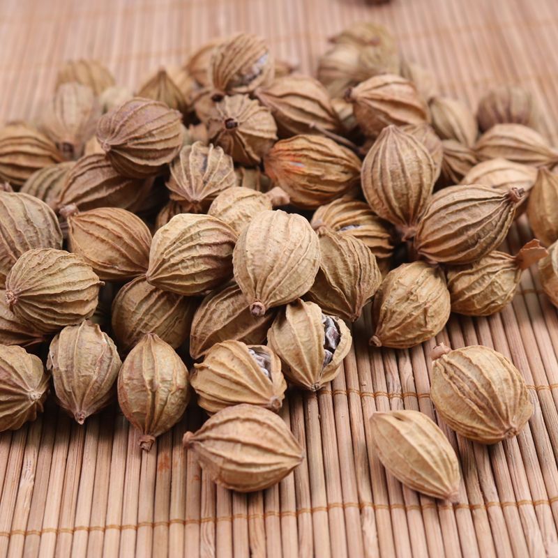 香砂  正品干货  炖肉火锅底料   调味料