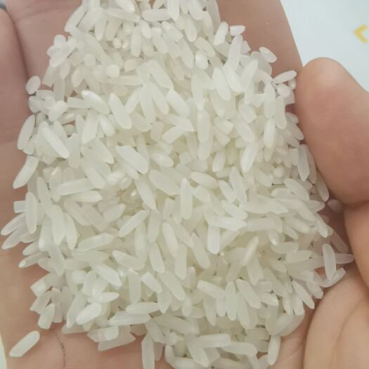 巢湖籼米  丰两优1.85