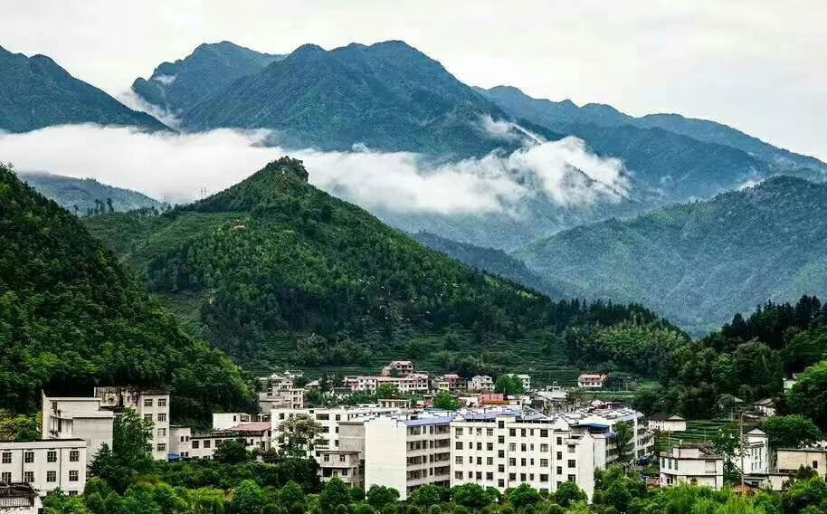 2022新茶江西遂川狗牯脑茶茶农直销产地发货