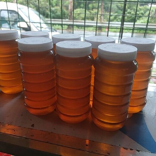 广州土蜂蜜  蜂蜜