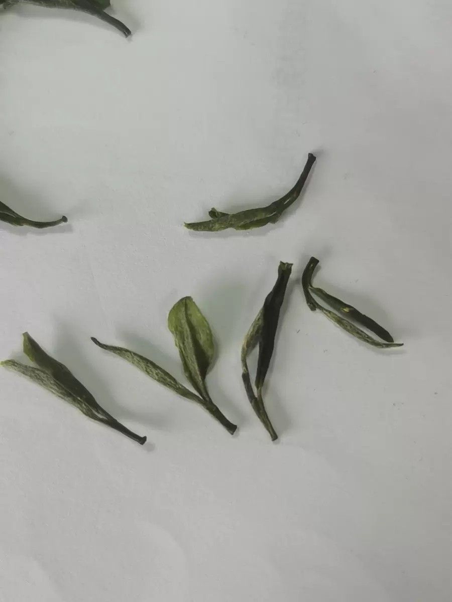  舒城小兰花茶   明前特级 一叶一芽