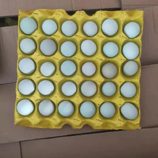 【精选】绿壳初生蛋480枚/箱 鸡场直发质量稳定，引流甄选