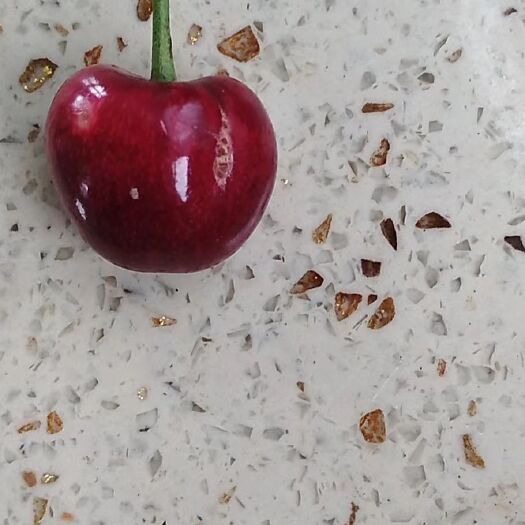 美早樱桃 小裂口