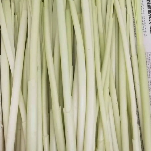 滕州市 微山湖野生蒲菜