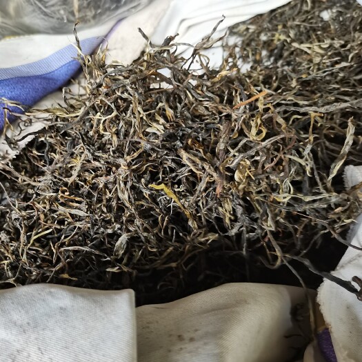 江城县月光白  择一处清幽，斟一盏芳茗心中有茶，听风声涛声。