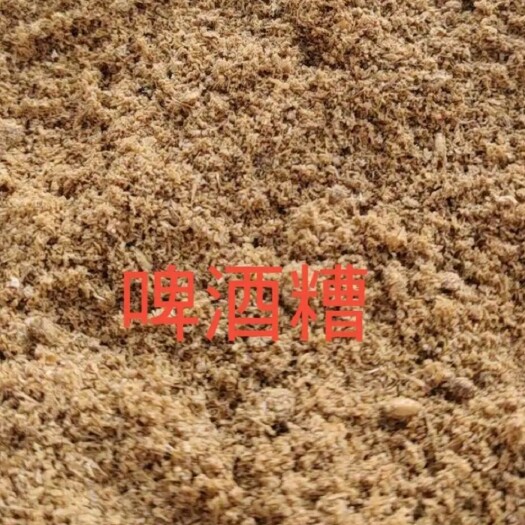 广州大量新鲜啤酒糟厂家直销(可协助找车)