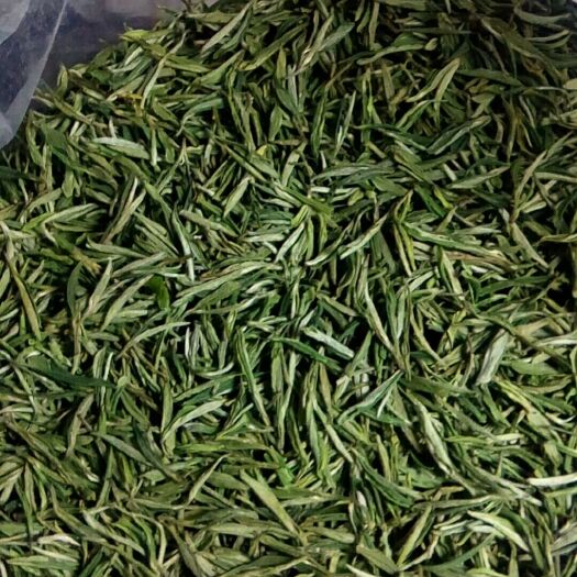 舒城县 舒城小兰花茶   明前特级 一叶一芽