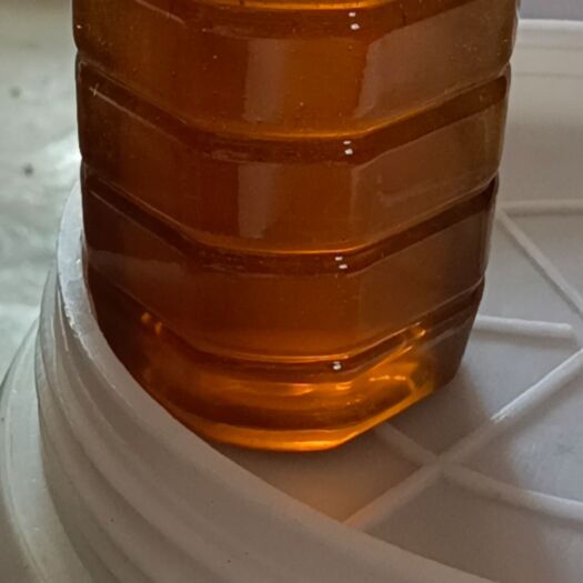 罗定市 蜂蜜：冬蜜，春百花蜜，荔枝龙眼蜜