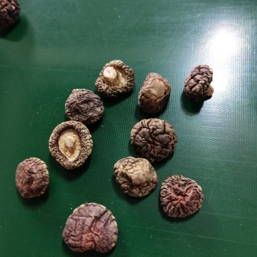 泌阳县河南香菇808  香菇9406 冬菇大山里的厚冬菇干货批发