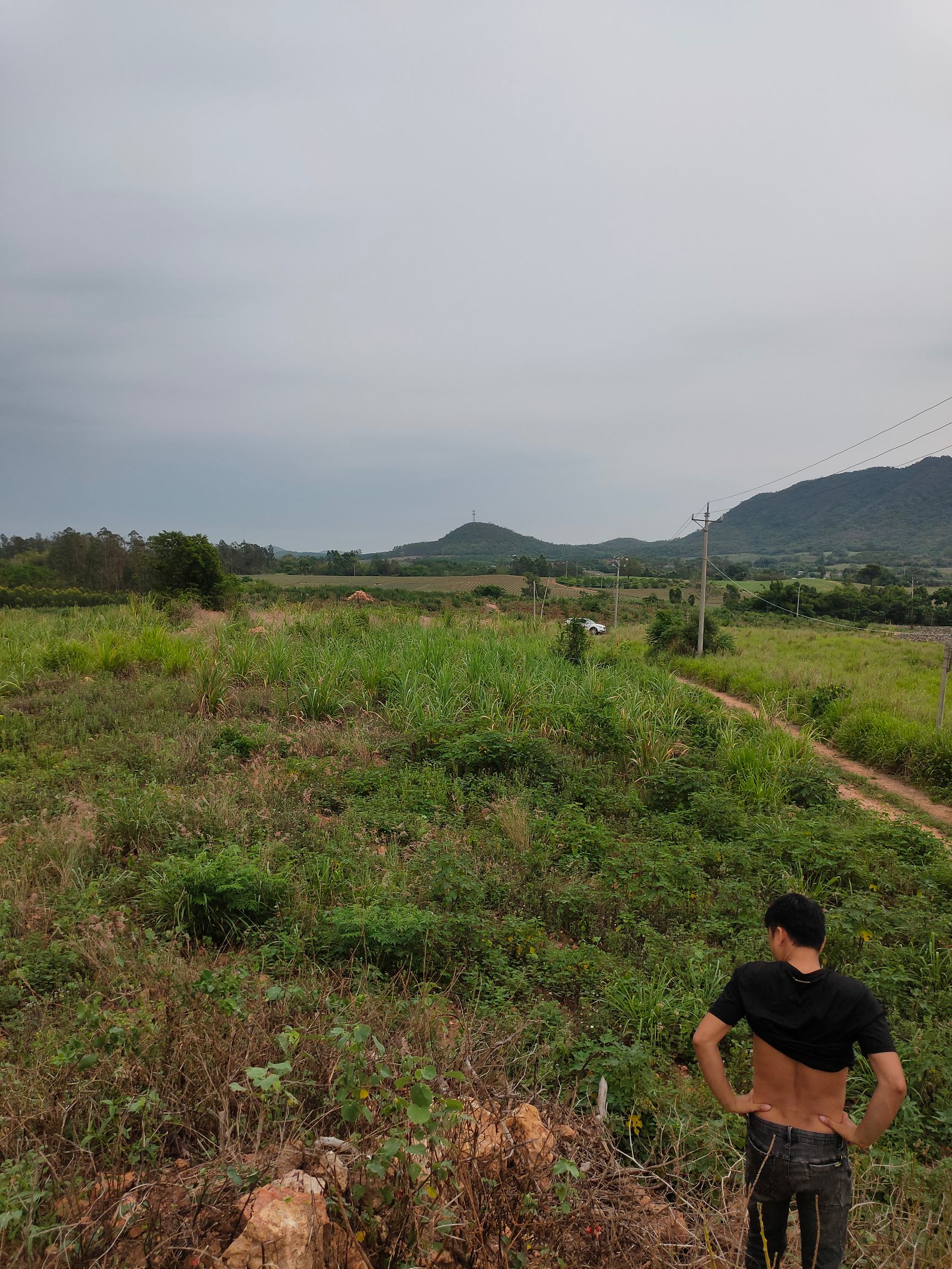 疏林地  海南省东方市 土地出租资源 长期短期，应有尽有