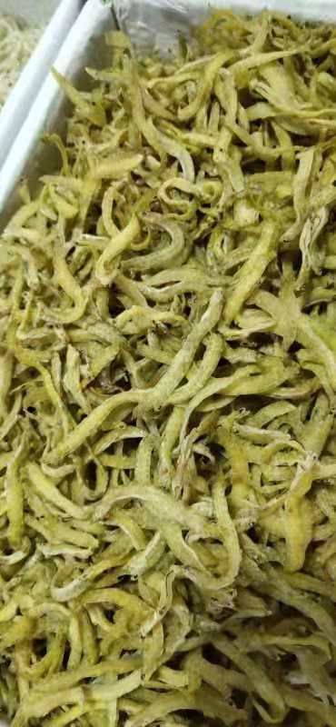  干货，淡干，银鱼干