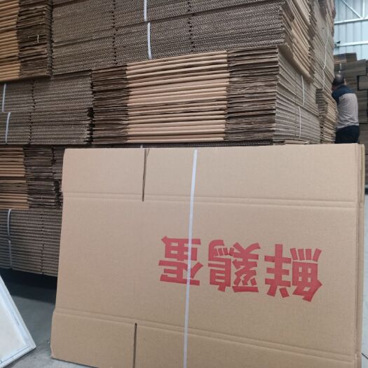 新密市纸箱 360枚装420枚装均可定做