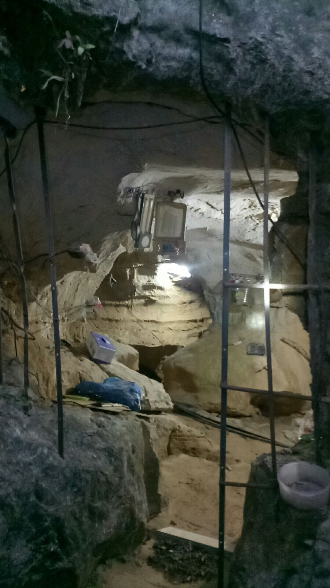 山地  农村土地流转资源转化合作