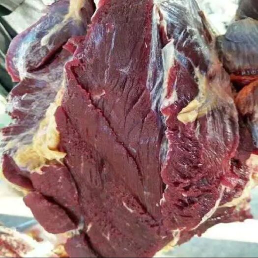 铁岭县肥牛  黄牛肉！纯干无水！检疫齐全！江苏全省冷藏配送