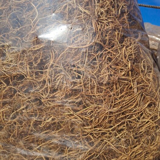 清原县地胆草 龙胆草，干货8顿！