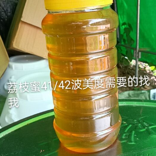 英德市 土蜂蜜