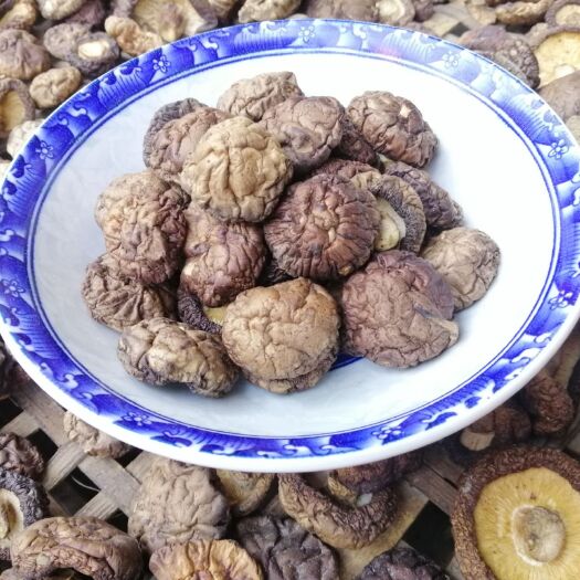 秦岭金钱菇，肉质鲜嫩，味道醇香，人工精选产地发货，支持包装，