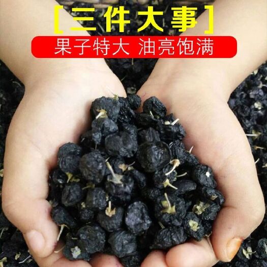 敦煌市 【新货】正品青海黑枸杞干正宗黑枸杞茶特级免洗