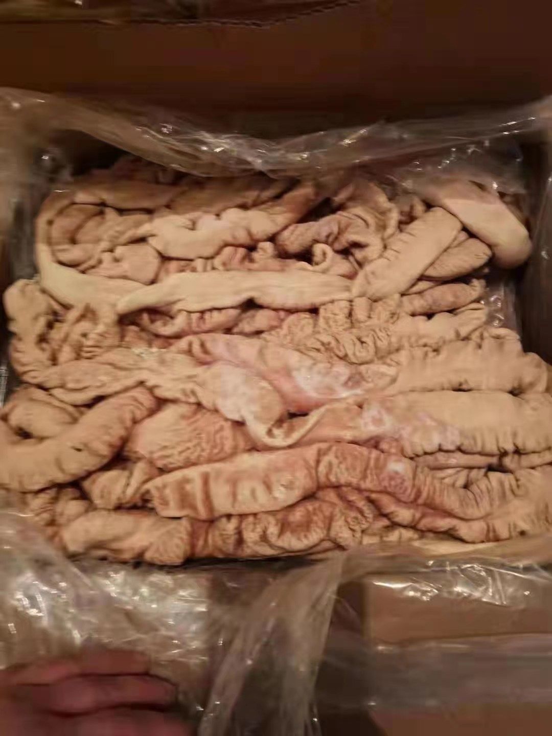猪肠  半熟肥肠