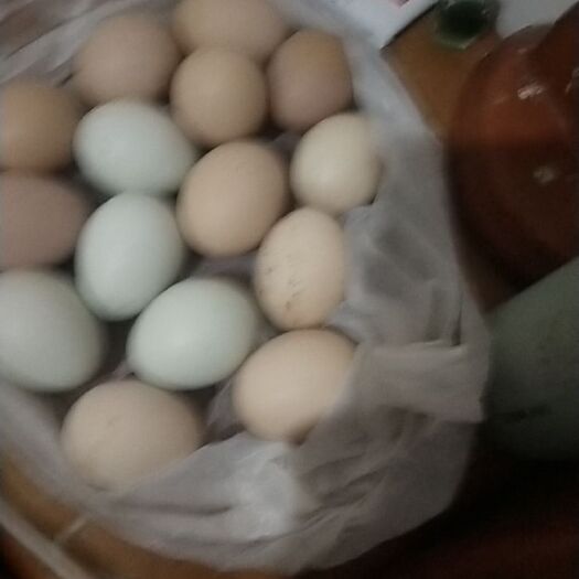 梓潼县 新鲜土鸡蛋